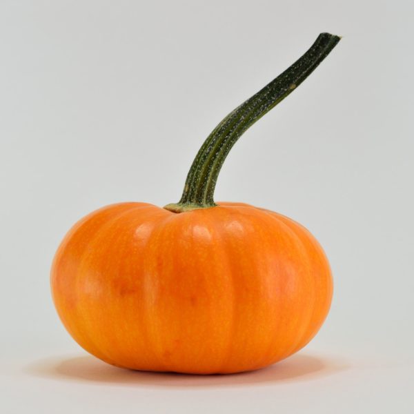 close-up-delicious-food-673073.jpg close-up-delicious-food-673073.jpg